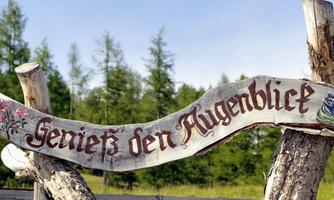 A rustic wooden sign with the inscription "Enjoy the Moment." In the background, green trees and a gentle landscape can be seen.