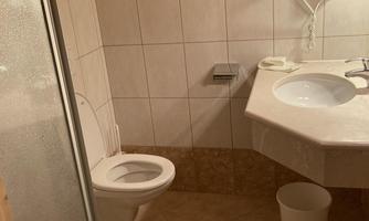 A simple bathroom with a shower, sink, and toilet. The walls are tiled, and the ceiling is made of wood.