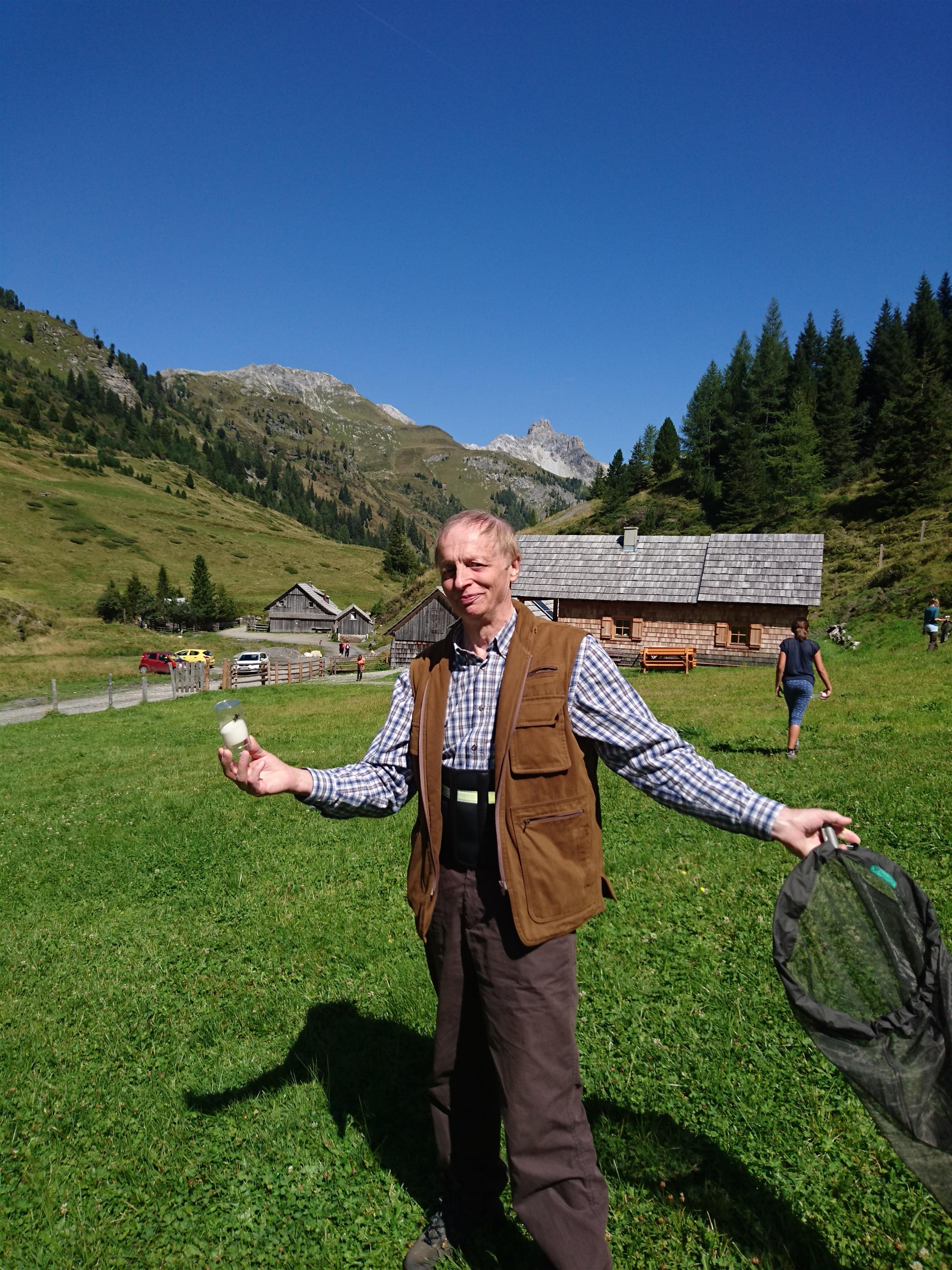 Entdecken Sie die alpinen Hummeln