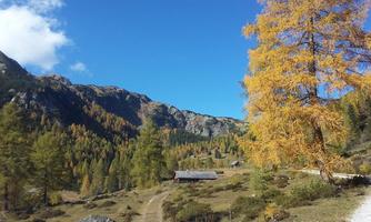 A picturesque mountain landscape with colorful autumn trees and a blue sky. In the foreground, there is a yellow tree next to a small building.