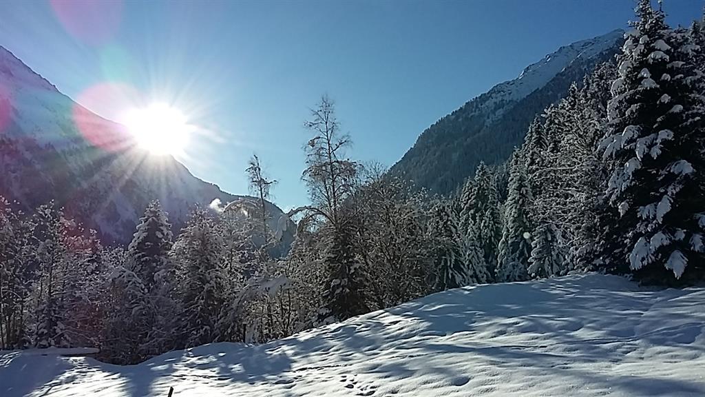 A winter landscape with snow-covered trees and mountains. The sun is shining brightly in the sky.