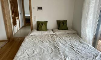 A simple bedroom with a large bed and two green pillows. The walls are bright, and there is daylight streaming in through the window.