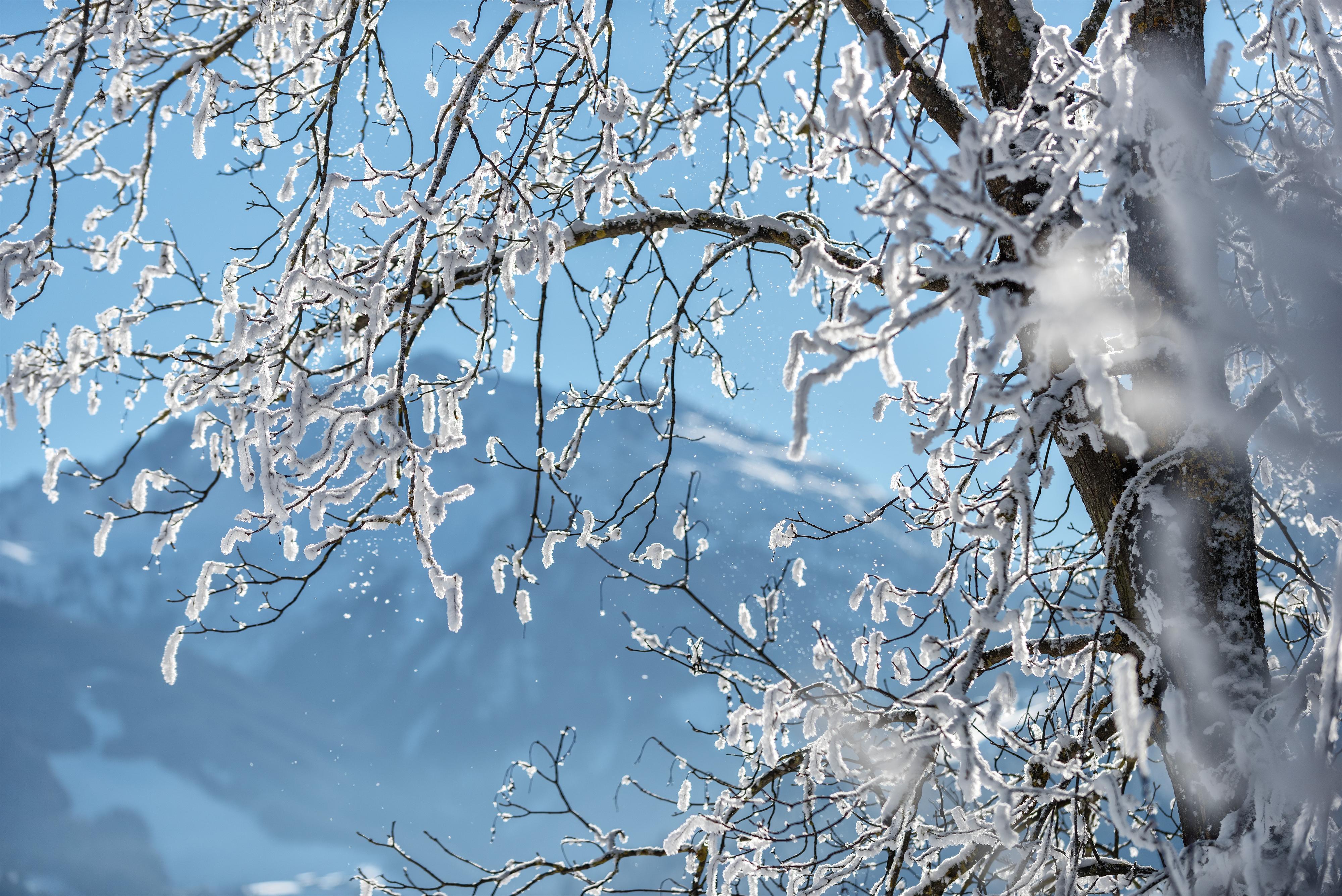 Winterkraft