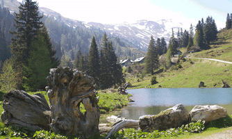 Wanderziel von der Hütte -  Almenwanderweg