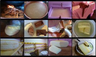An image with various phases of cheese production. It shows ingredients, molds, and finished cheese products.