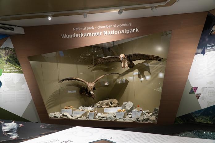 Nationalpark Ausstellung "Im Facettenreich" in Wörth