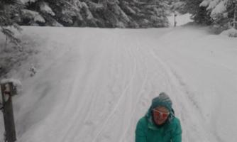 A person is sitting on a sled on a snowy path. Surrounded by tall, snow-covered trees and gentle hills.