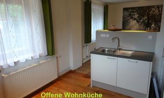 A modern open living kitchen with a small sink and wooden floor. Bright curtains and a green wall create a friendly atmosphere.