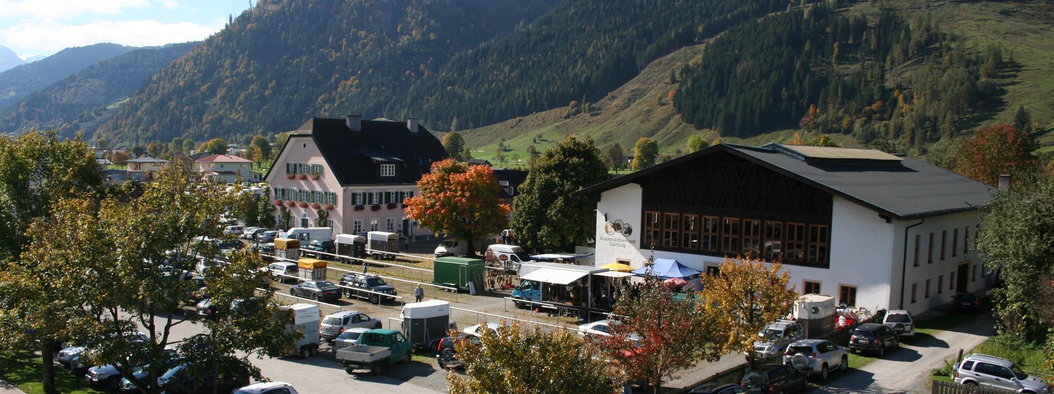 Maishofner Kleintierausstellung
