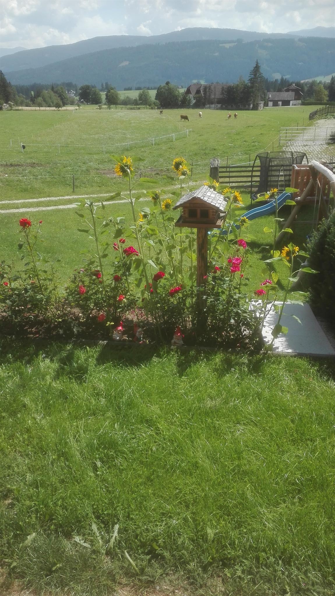 A beautiful garden with colorful flowers and a birdhouse. In the background, fields and mountains can be seen.