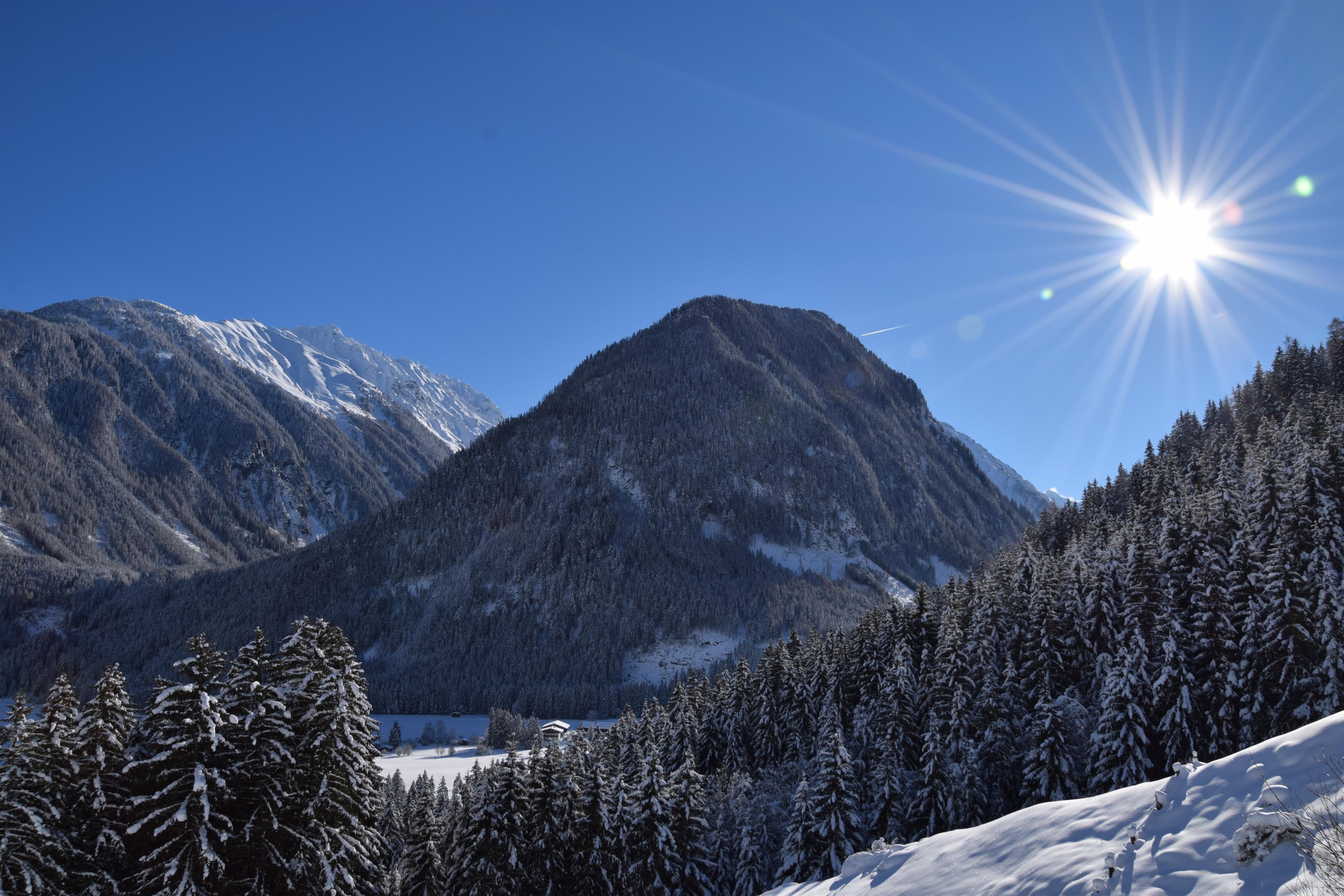 A sunny winter day in the mountains, surrounded by snow-covered forests. The clear blueness of the sky enhances the alpine beauty of the landscape.