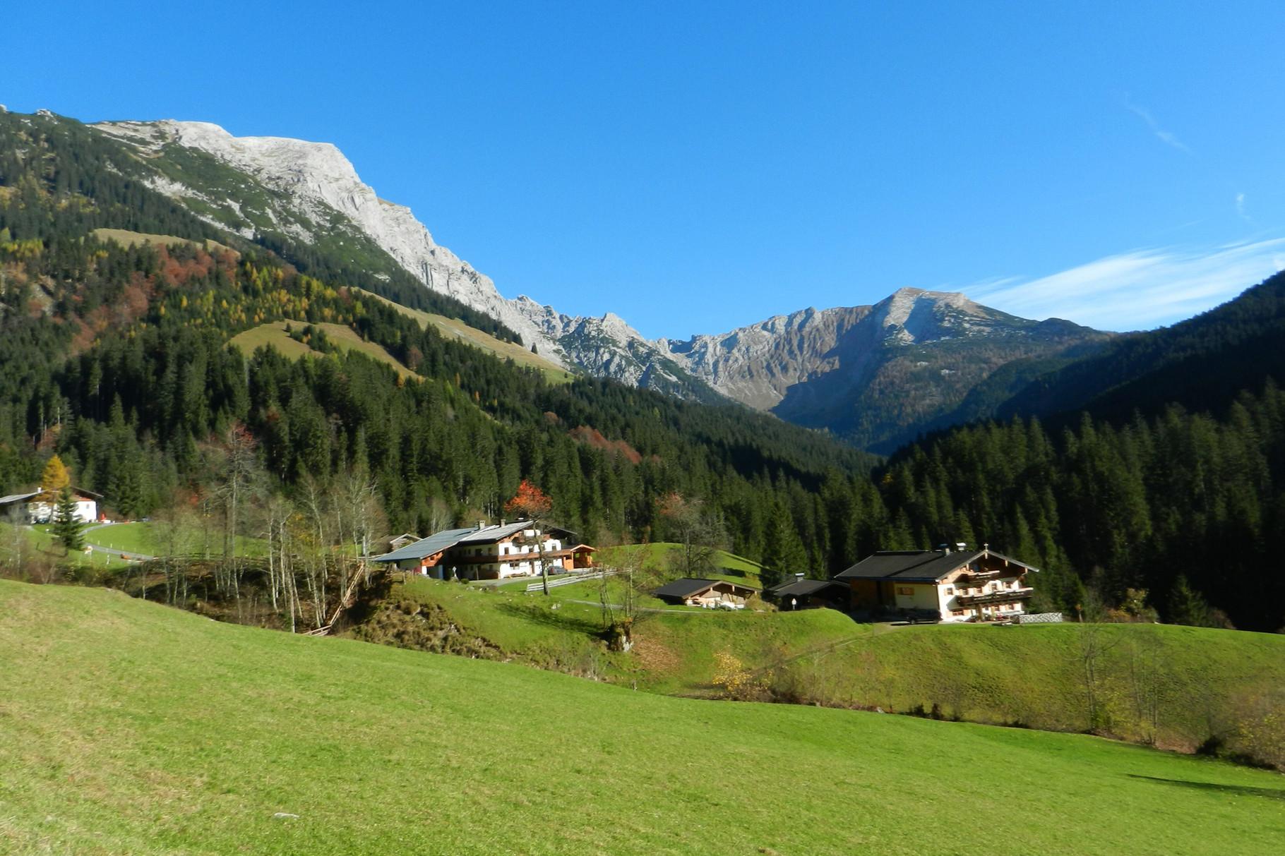 A picturesque mountain landscape with green meadows and dense forests. In the background, majestic mountains rise beneath a clear blue sky.