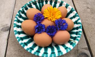 A bowl with brown eggs, surrounded by blue and yellow flowers. The bowl has a secure geometric pattern and is placed on a wooden surface.