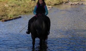 A girl is riding on a pony in shallow water. It is a sunny environment with plenty of greenery in the background.