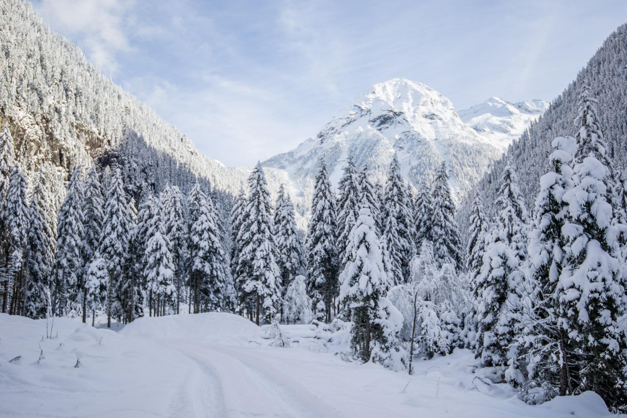 Geführte Winterwanderung