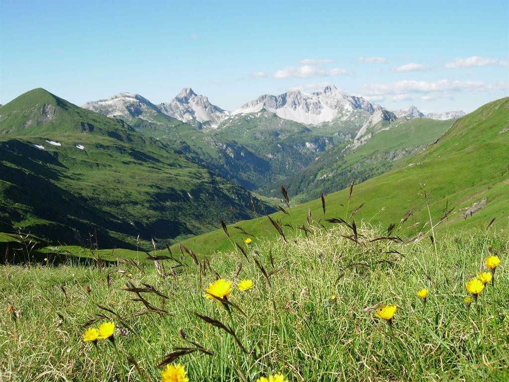 Spezialkurs „Alpine Hummel“