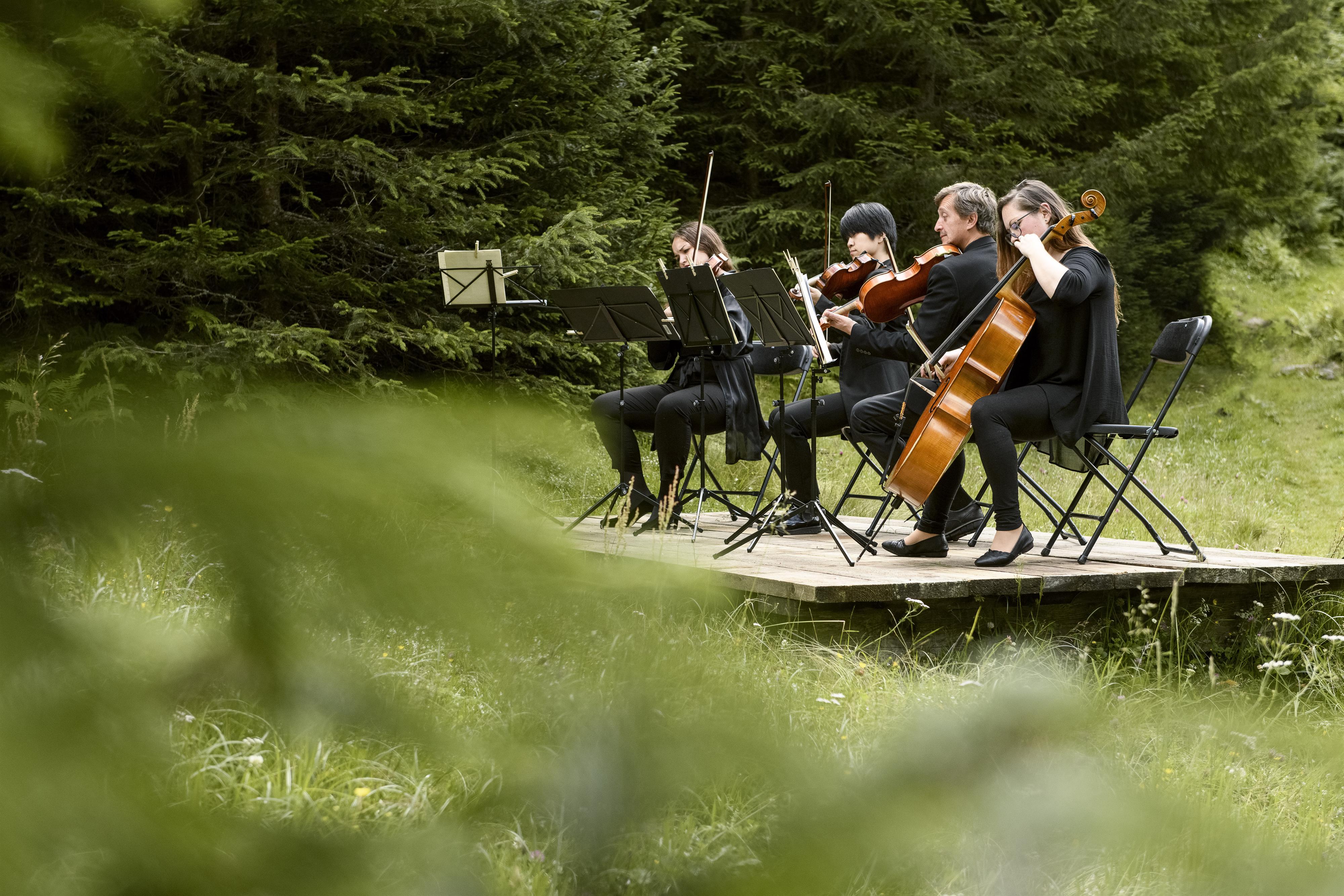 Wald:Klassik Bad Hofgastein