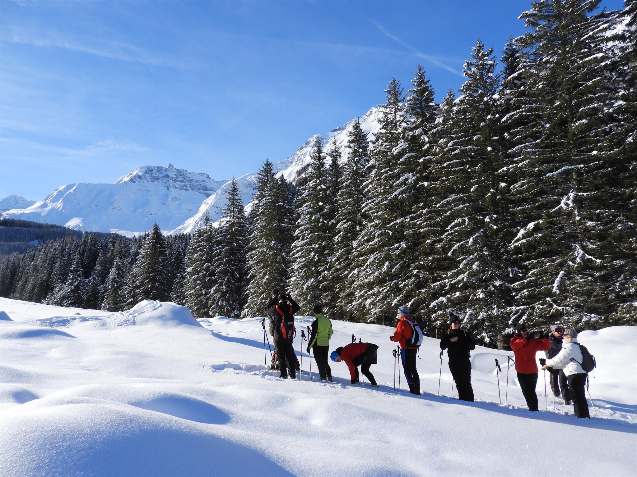 Nationalpark Schneeschuh-Exkursion „Winterlicher Urwald“