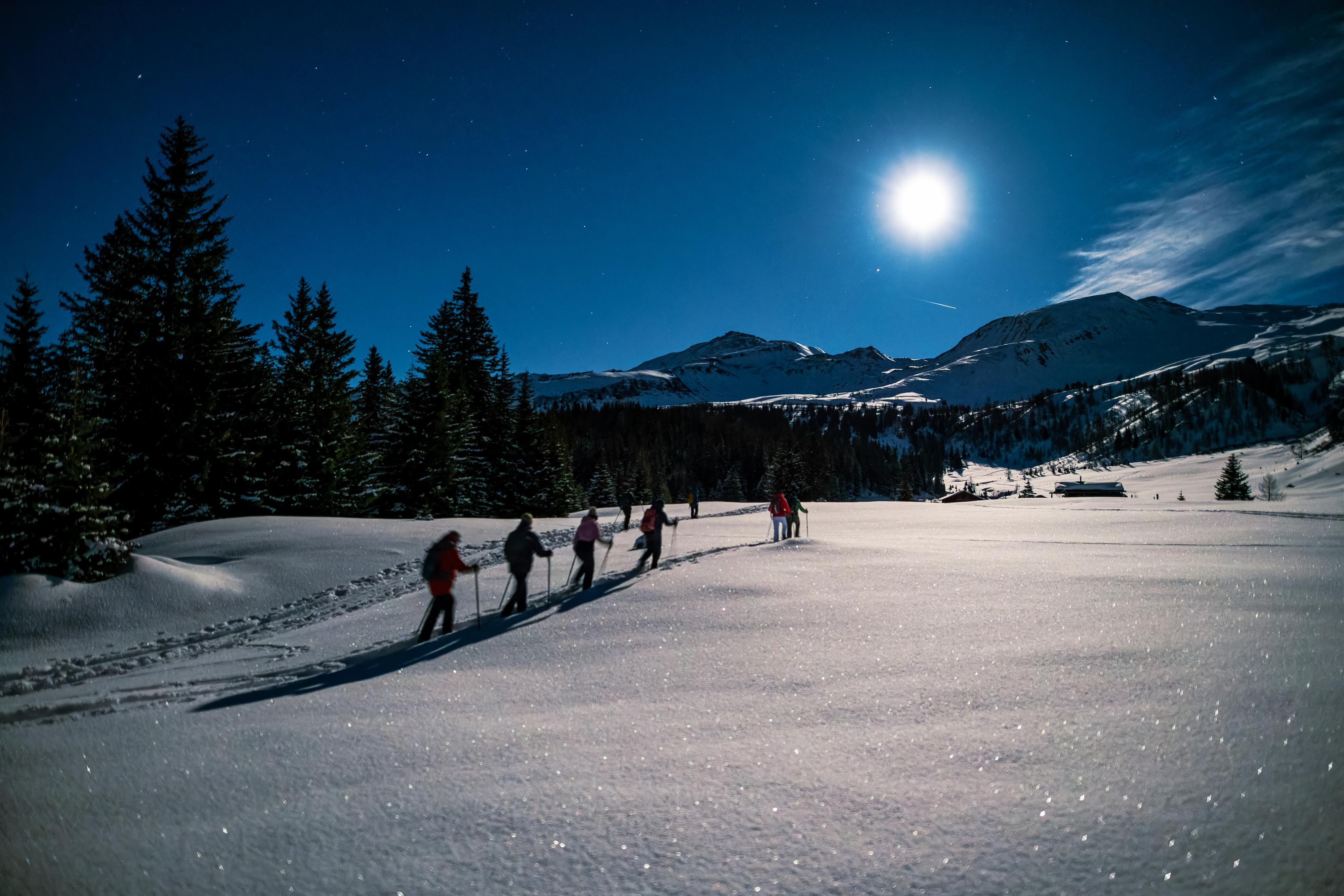 Nationalpark Schneeschuh Exkursion „Goldene Aussichten“