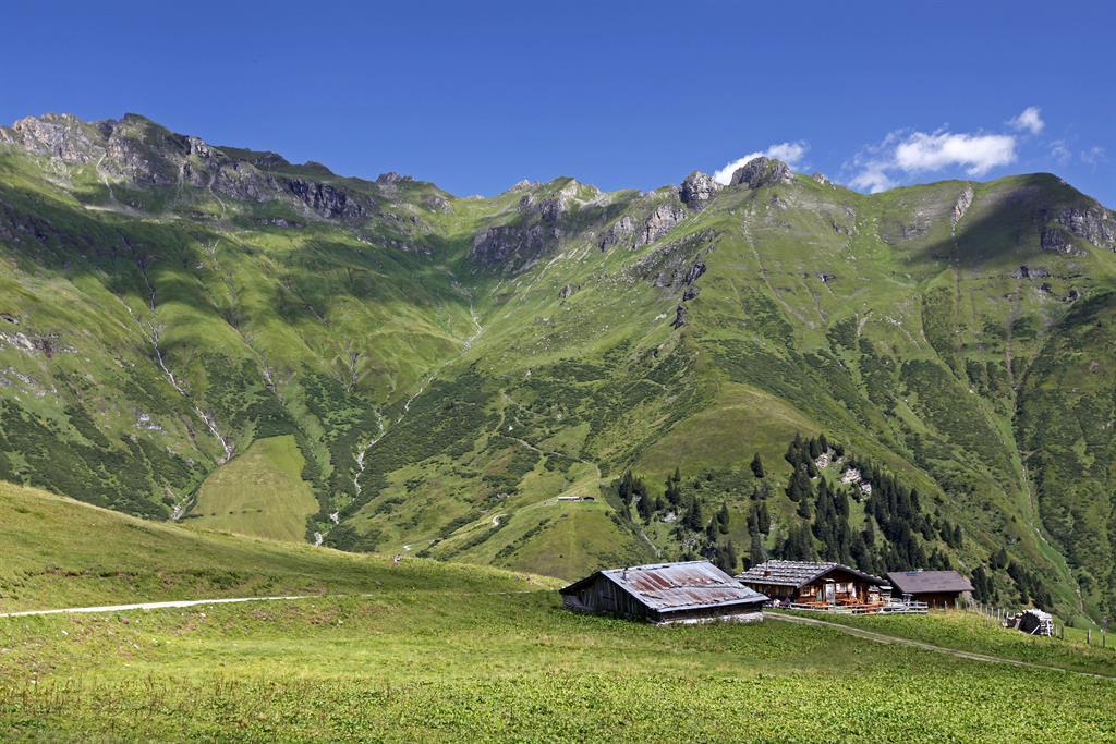 Geführte Wanderung: Gadaunerer Hochalm