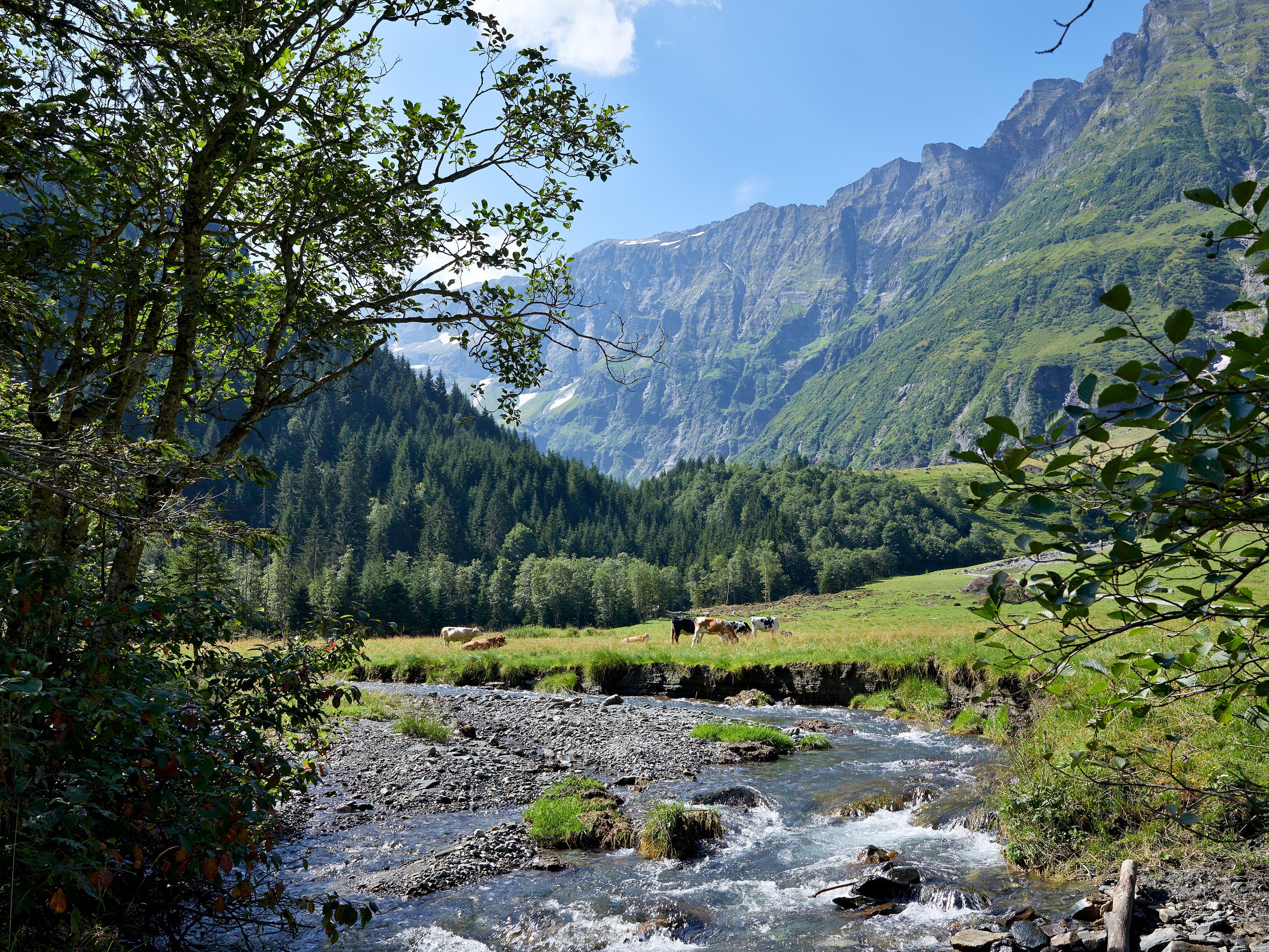 Schösswendklamm und Hintersee