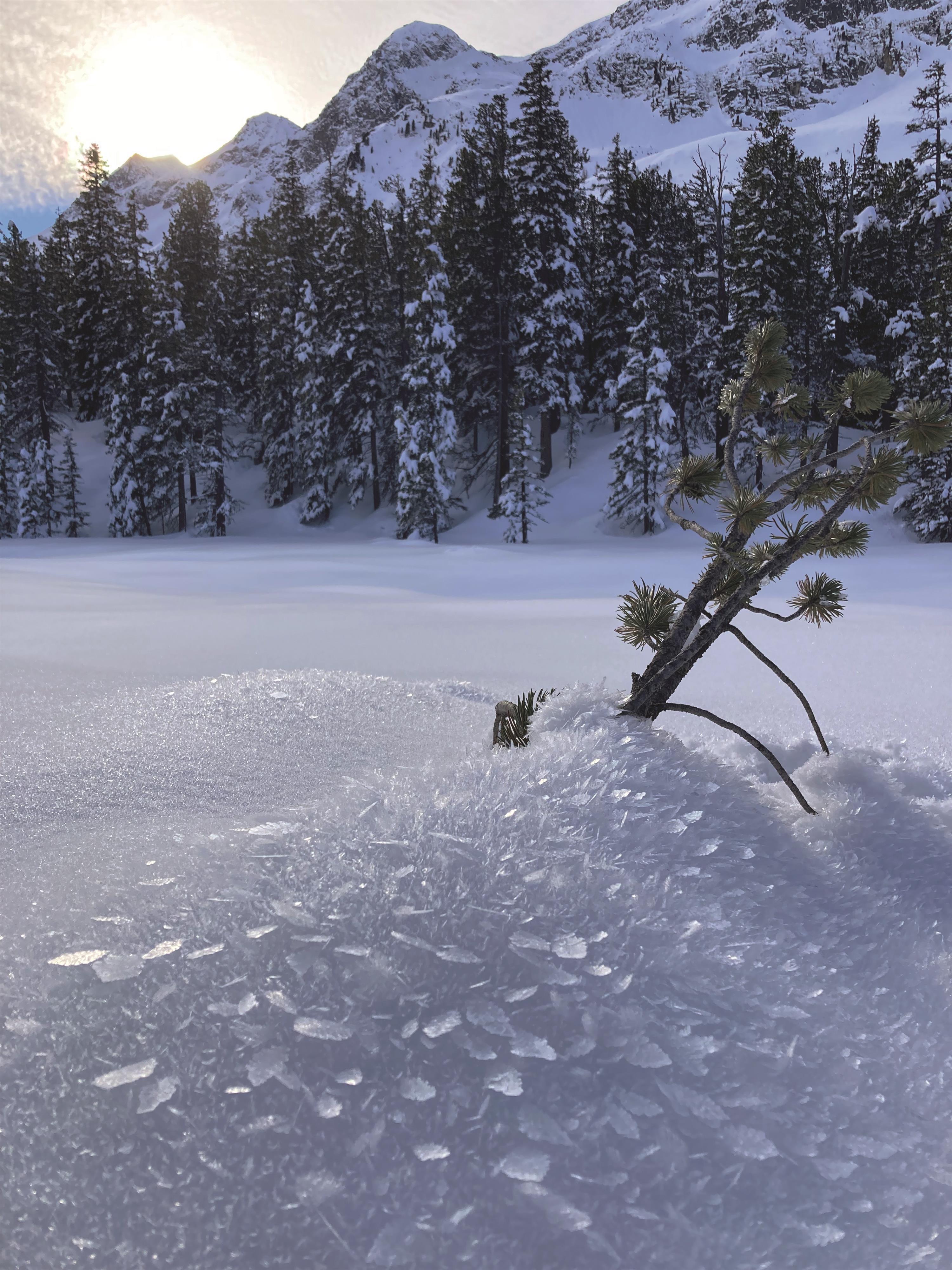 NPHT: Wintererlebnis Hollersbachtal