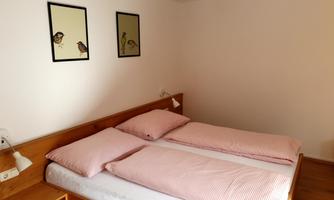 A simple room with a double bed and bright walls. Two pictures of birds hang on the wall.