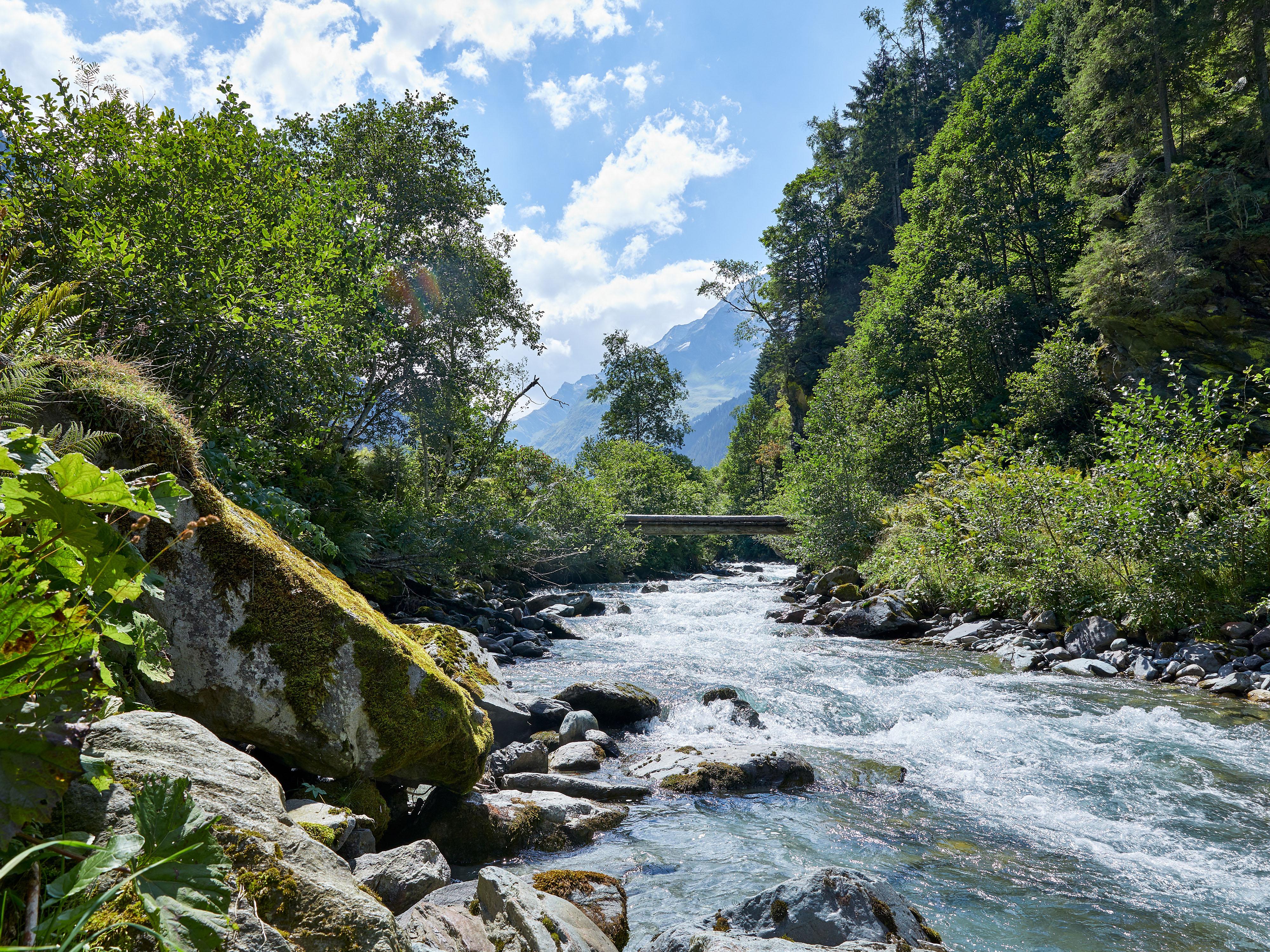 Das Scharrntal entdecken