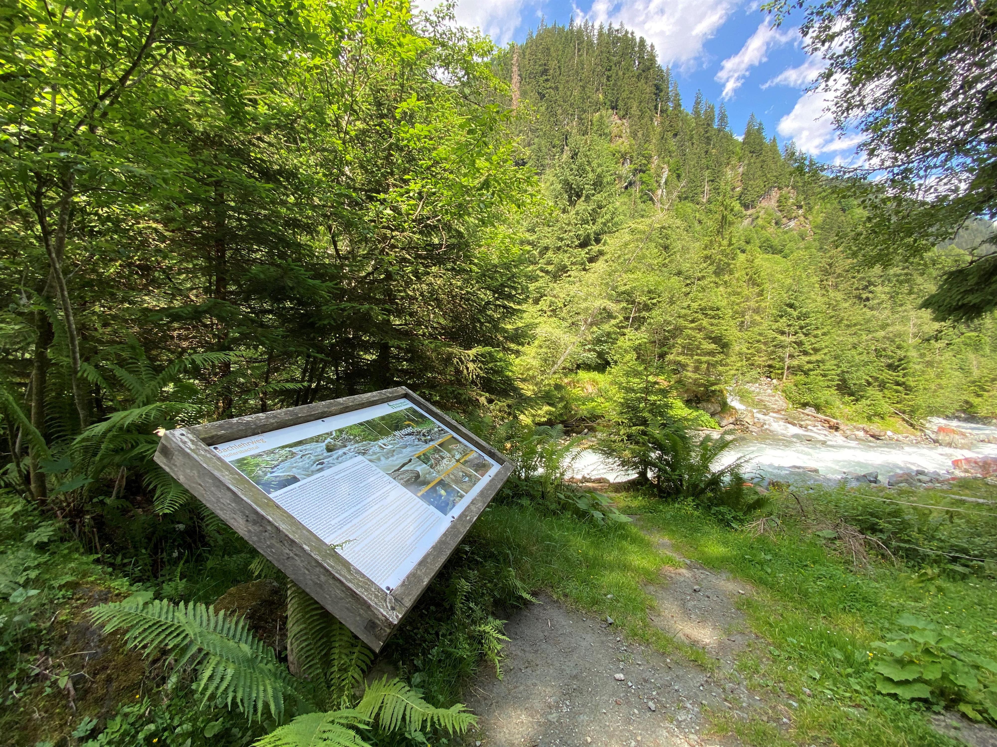 Geführte Wanderung entlang des Bachlehrweges