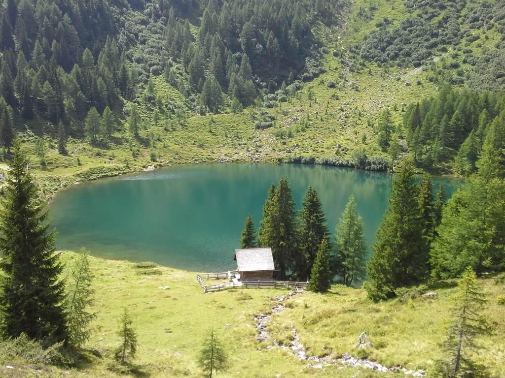 A quiet lake surrounded by green forests and meadows. A small cabin stands on the shore.