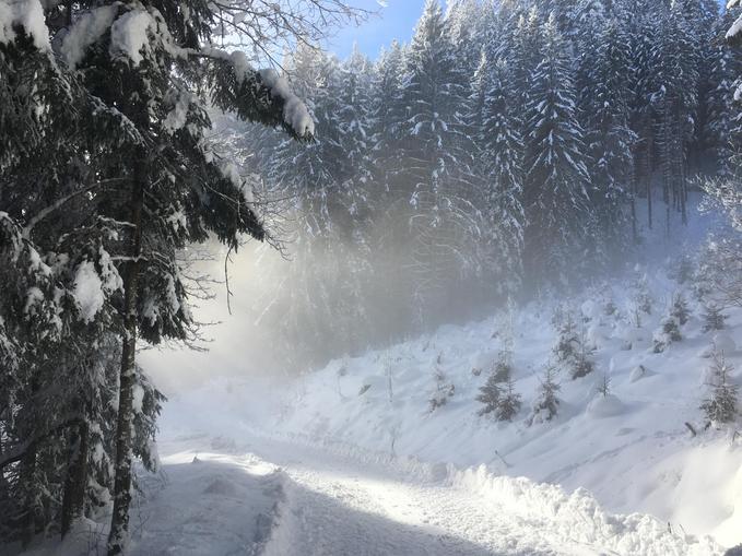 Winterwanderwege in Maishofen
