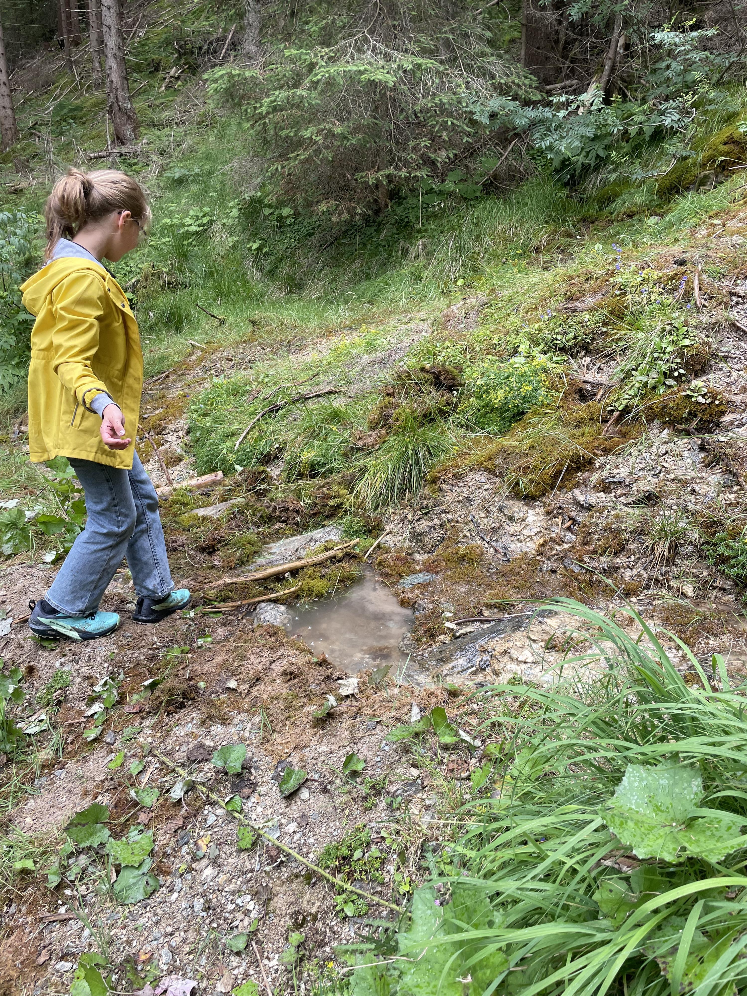 Kinderprogramm: Spiel, Spaß & Natur am Woidwegal