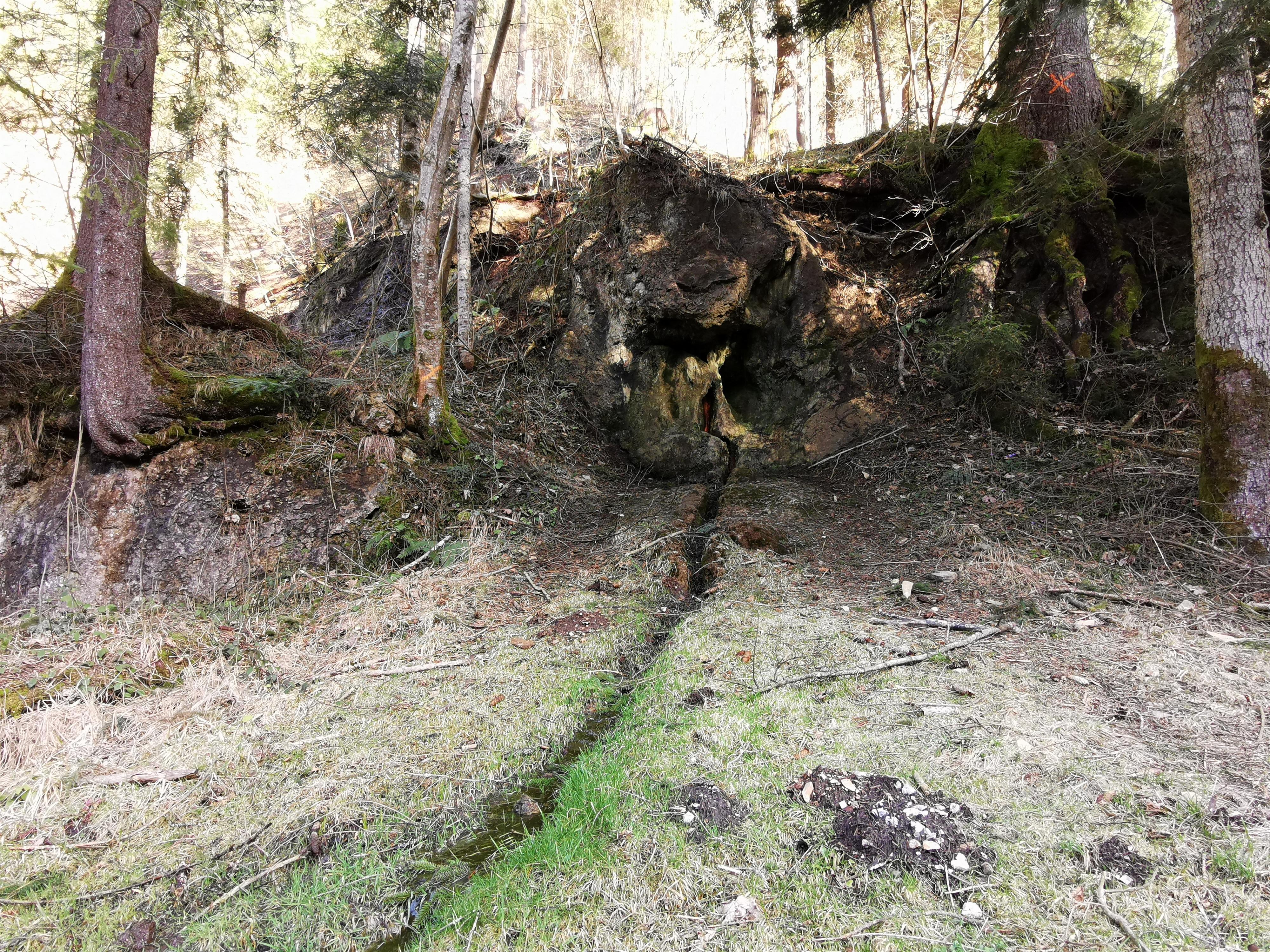 Wanderung zur Abtenauer Heilquelle