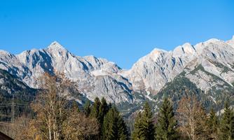 The majestic mountains rise under a clear blue sky. Green trees frame the landscape and give it a serene atmosphere.