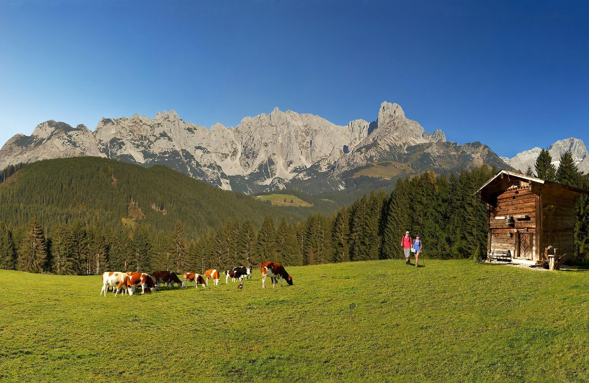 Panoramawanderung Entlang am Gosaukamm