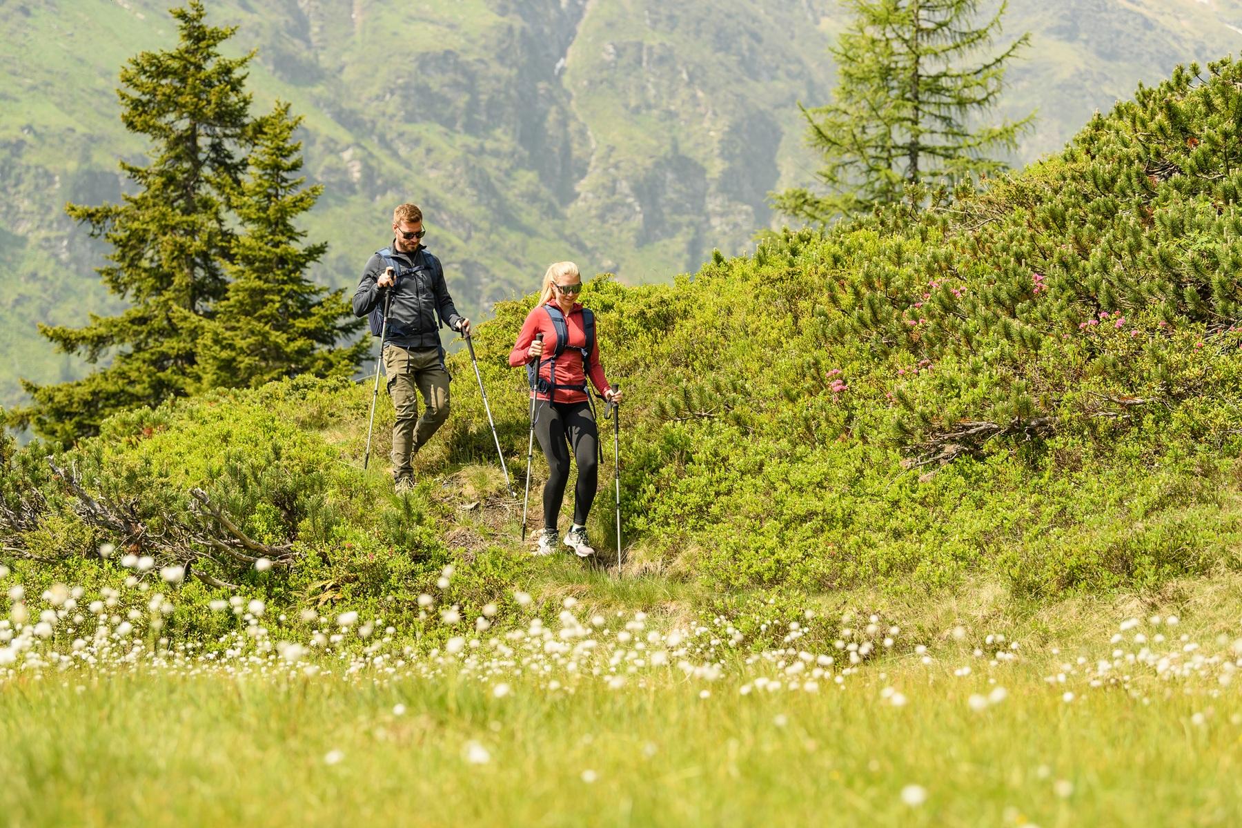 hiking_hotel