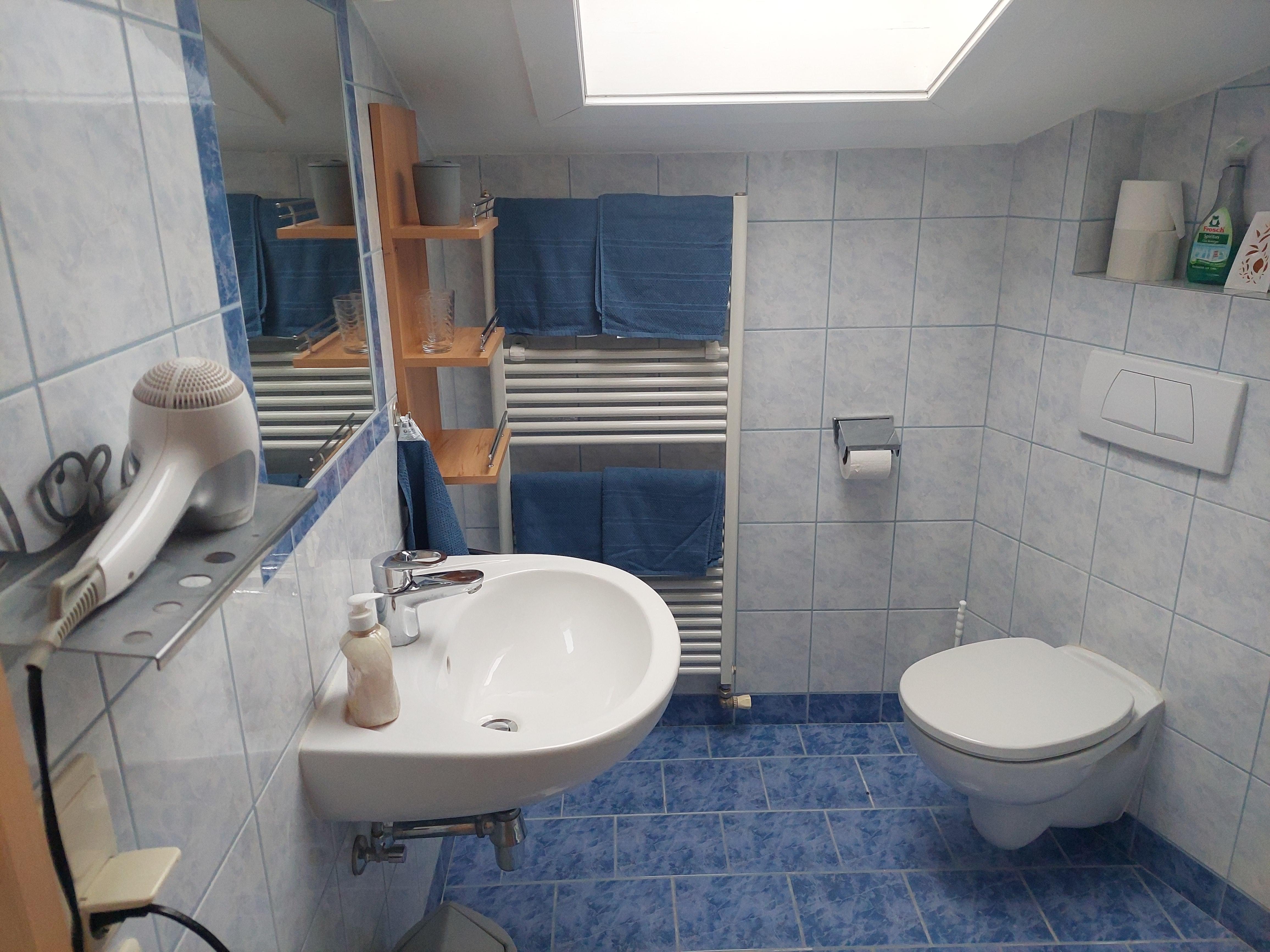Haus Holzer Dorfgastein App Badezimmer