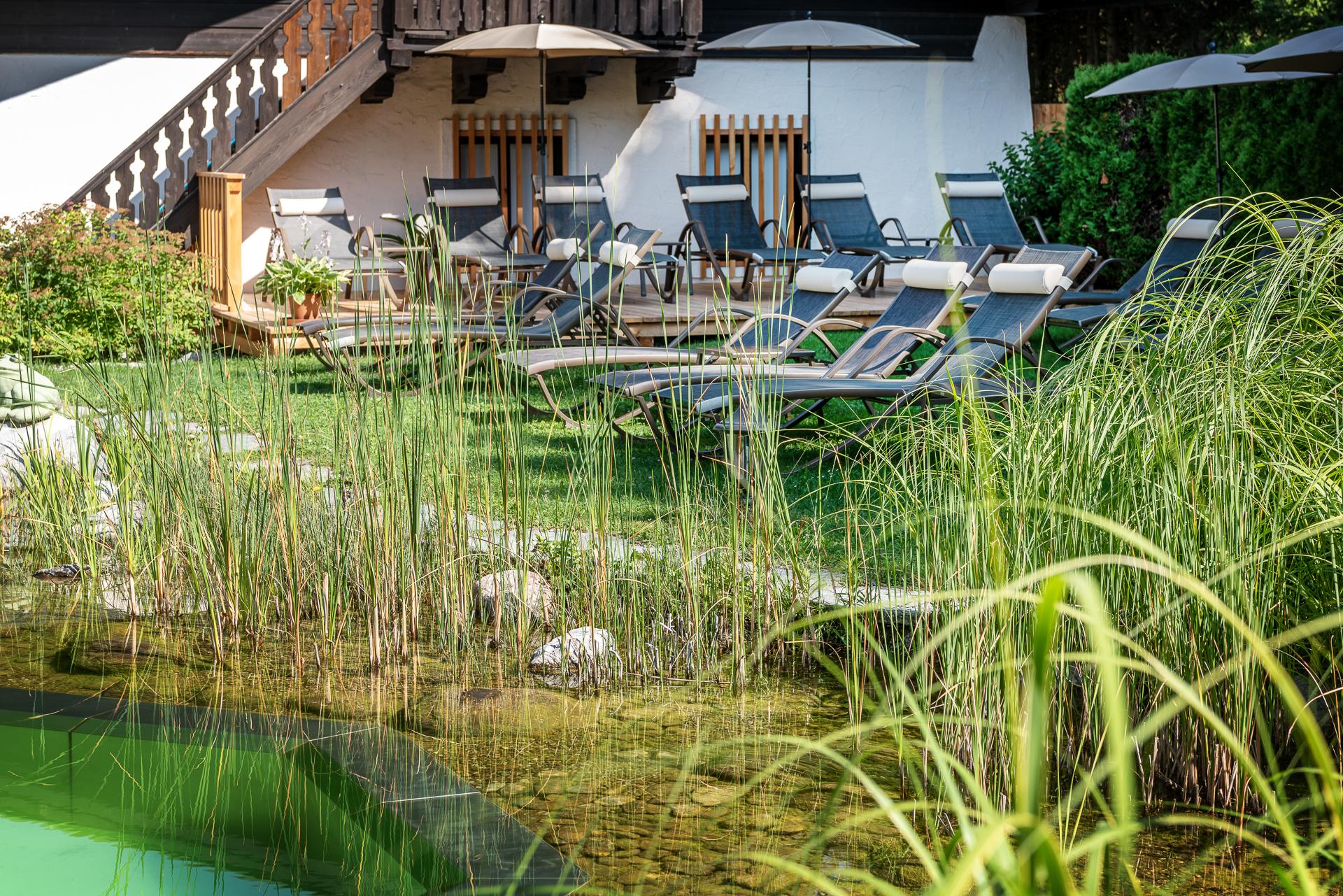 A relaxing garden with loungers and a natural swimming pond. Surrounded by green grasses and a sunny atmosphere.