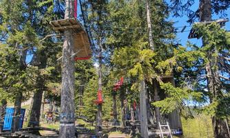 A climbing park among tall trees with various obstacles. The path is bordered by wooden planks and there are signs with instructions.
