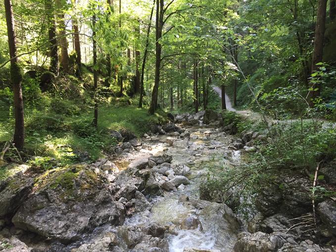 Wildes Baden Strohwollner Schlucht