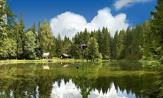 A calm lake surrounded by dense forests. In the background, two cabins are visible, and the sky is clear with a few clouds.