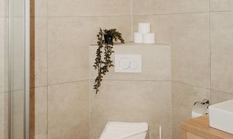 A modern bathroom with an elegant toilet and a glass shower. The walls are painted in neutral tones, and plants add freshness to the space.