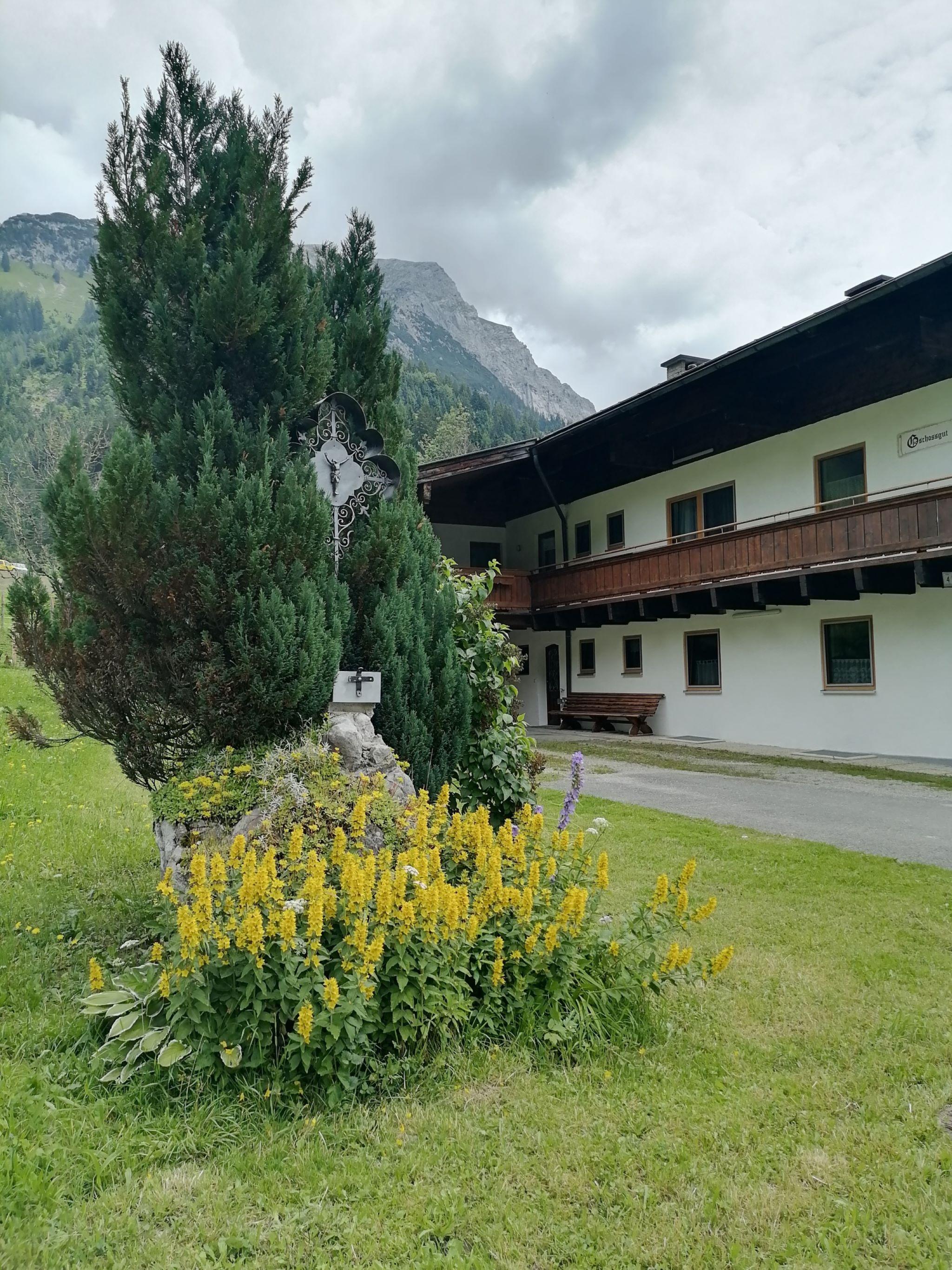 A traditional building in the mountains, surrounded by green grass and yellow flowers. The sky is cloudy and the landscape appears calm and inviting.