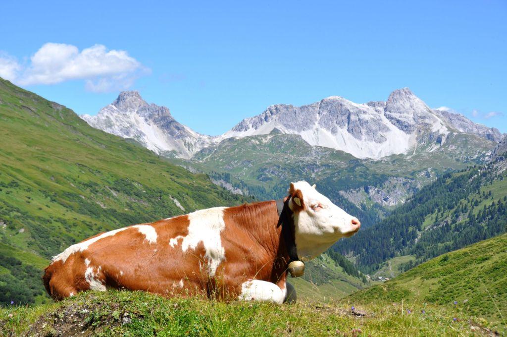 Almsommerführung