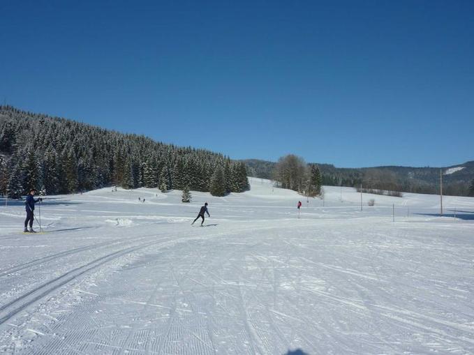 Langlaufgebiet am Thalgauberg - Thalgau