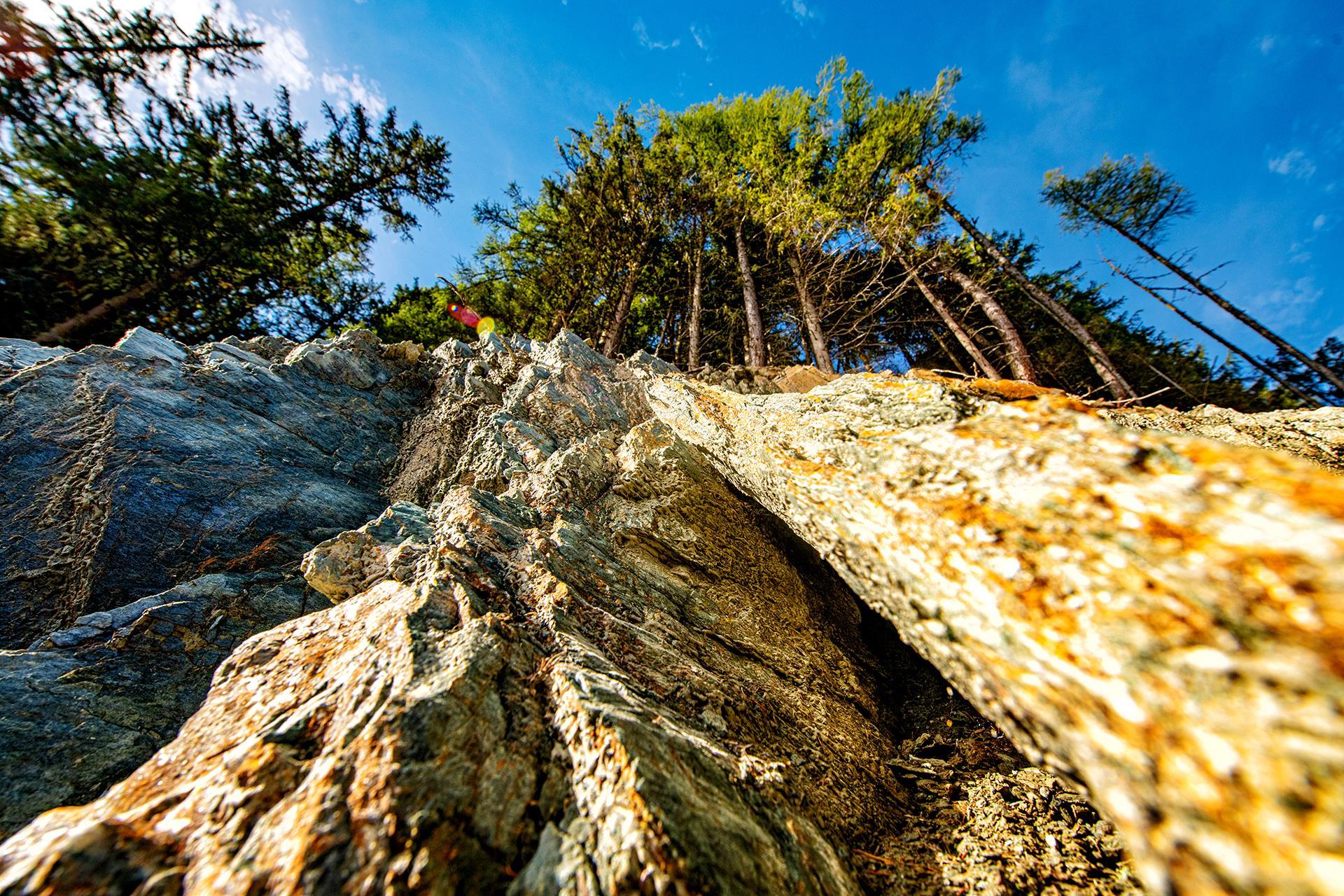 A rocky landscape with tall trees in the background. The sky is clear and blue.