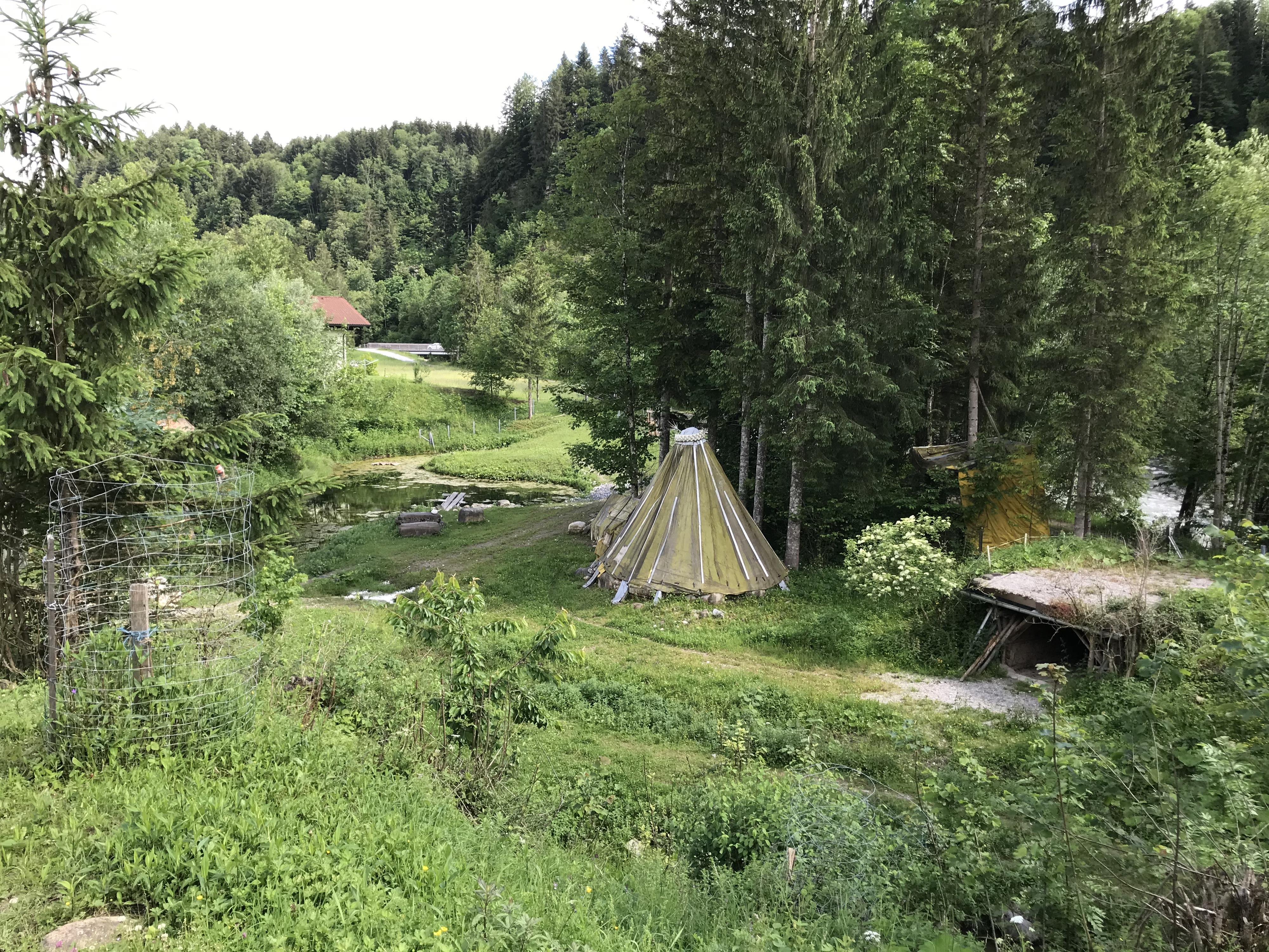 A picturesque forest with lots of green and a small pond. In the middle stands a tent, surrounded by trees and meadows.