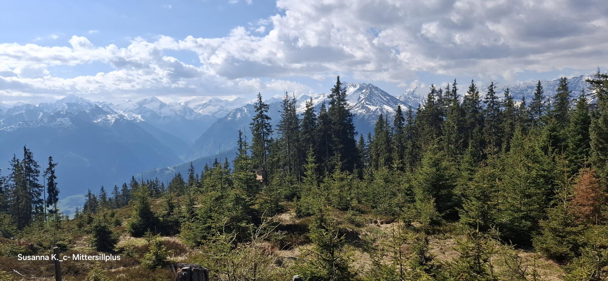 Geführte Bergtour zur Stimmelhöhe