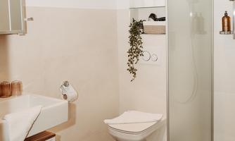 A modern bathroom with a sink, a toilet, and a shower. The walls are light, and there is a small plant for decoration.