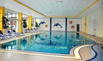 A modern indoor pool with blue tiles and clear water. There are loungers for relaxing and colorful murals of dolphins and sea stars.